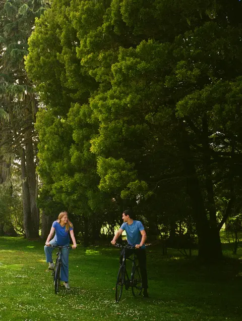 Wide engagement photo of a couple on bicycles on a green lawn, dwarfed by a stand of dark cypress and eucalyptus trees in a San Francisco park.