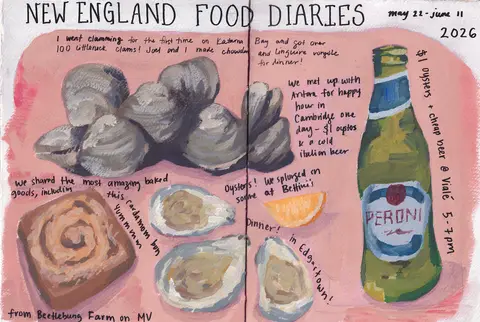 New England Food Diaries sketchbook spread with painted clams, oysters, a cinnamon bun, and a Peroni bottle on a pink background with handwritten notes.